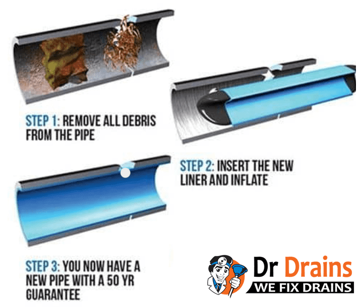 How to Get Rid of Drain Fly - Canberra Plumbing and Drains